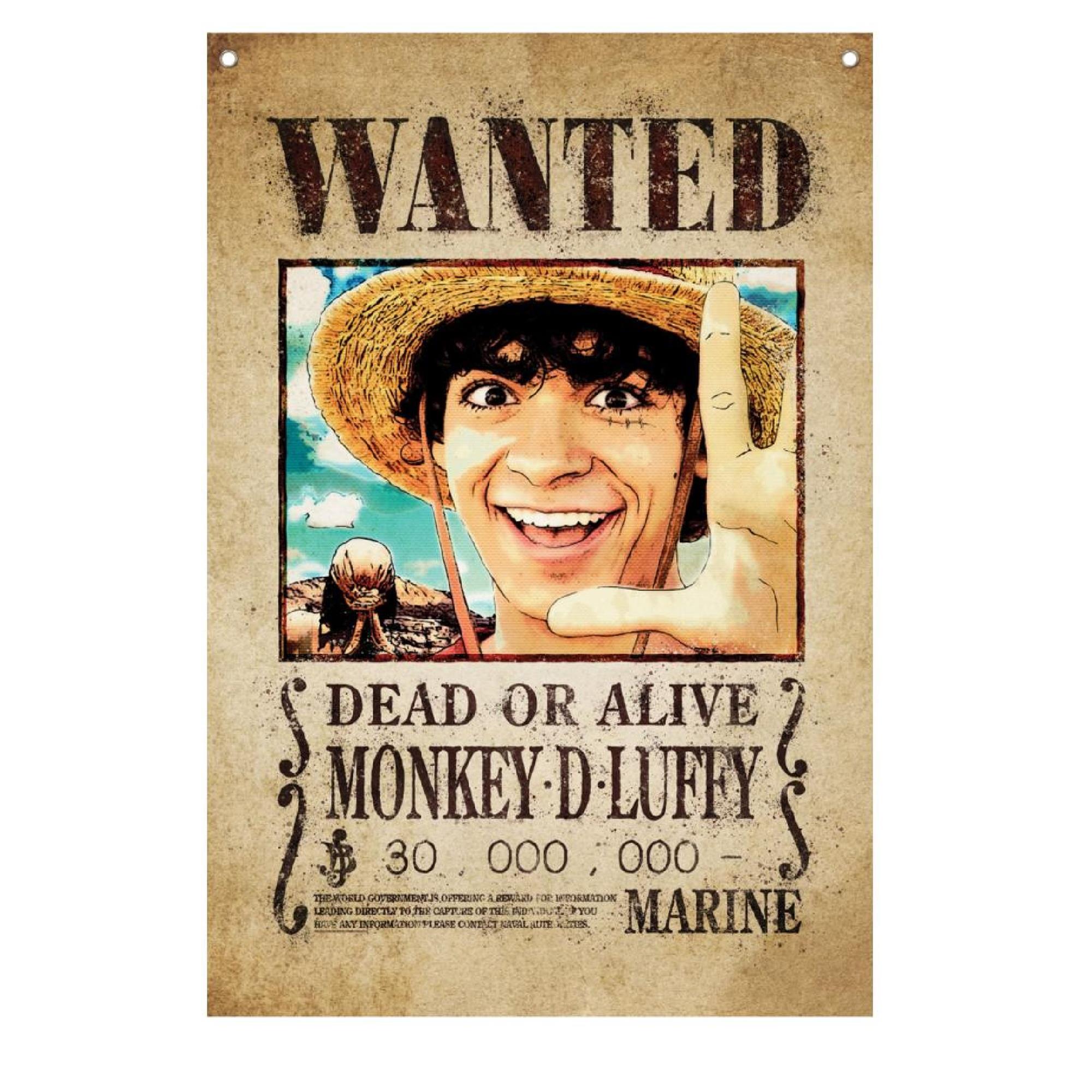 One Piece Wand Banner Monkey D. Luffy Netflix 125x85cm