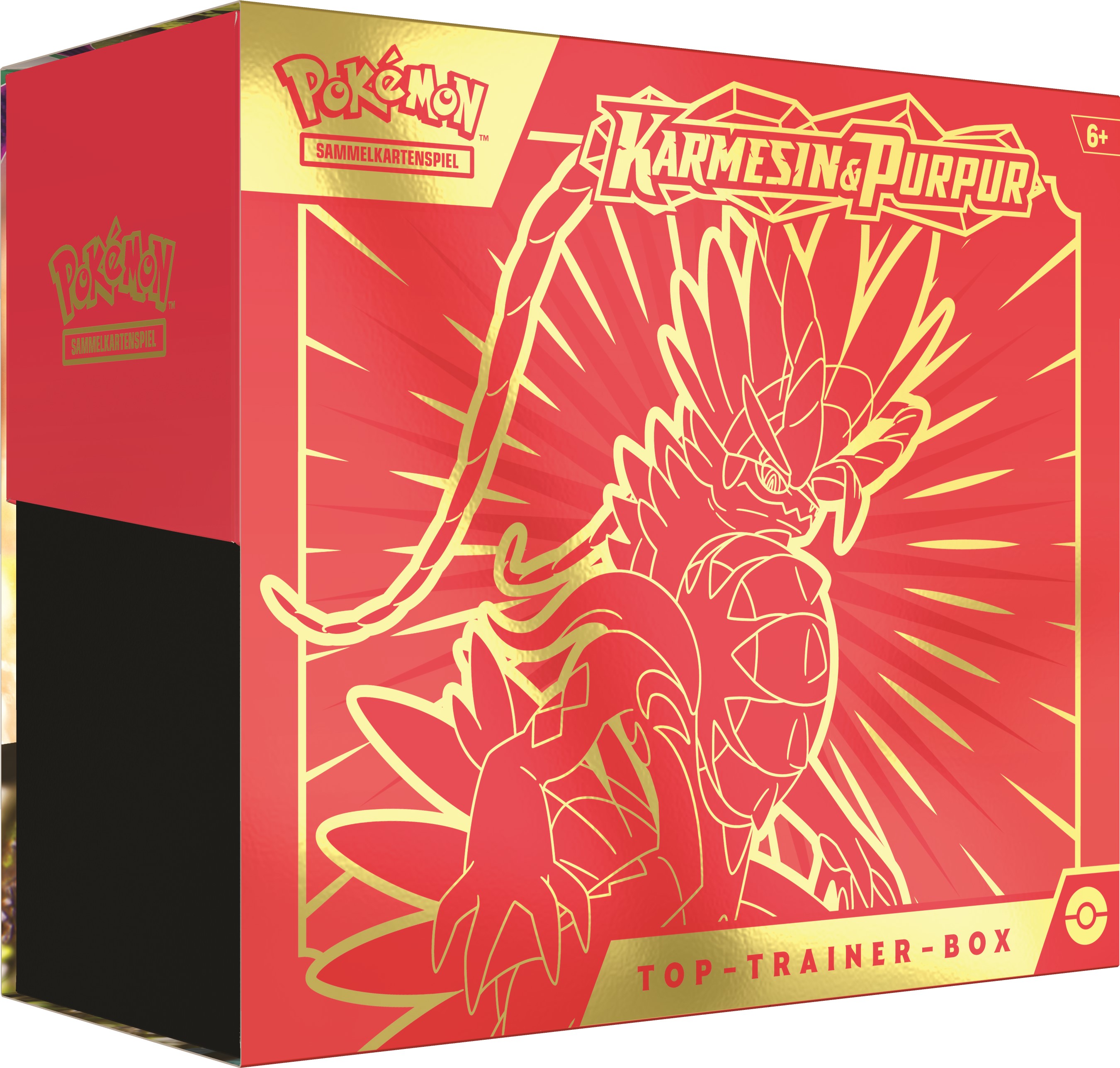 Top Trainer Top Trainer Box